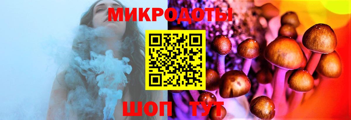 Кулебаки  Галлюциногенные грибы Magic Shrooms  Вход с VPN 